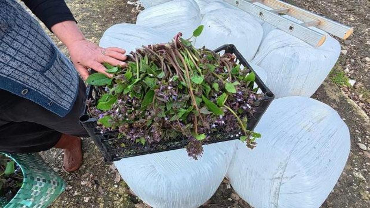 Zılbıt pazarlarda ilgi g&ouml;r&uuml;yor