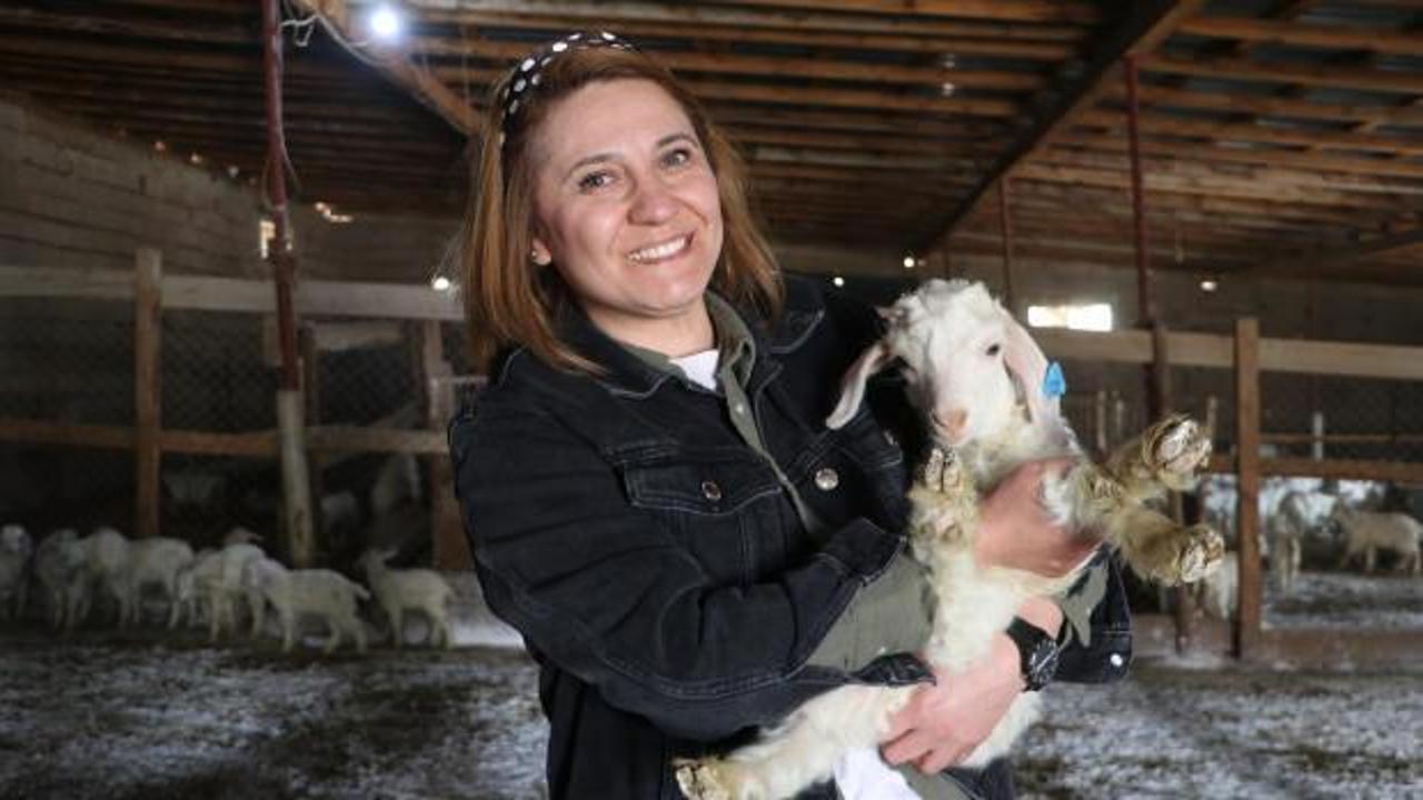 Nazlı Uyar, Devlet Desteğiyle 6 Yılda 300 Keçiden 1300'e Ulaştı