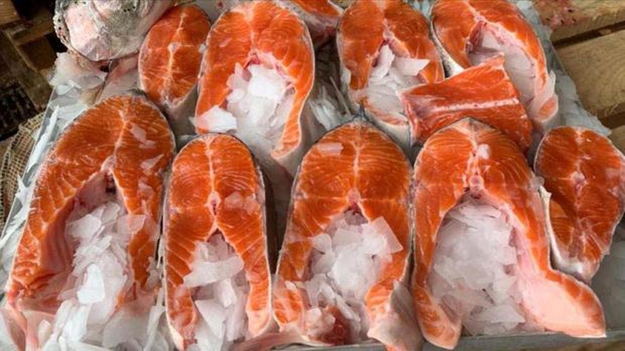 T&uuml;rk somonuna talep b&uuml;y&uuml;k! 91 milyon doları aştı