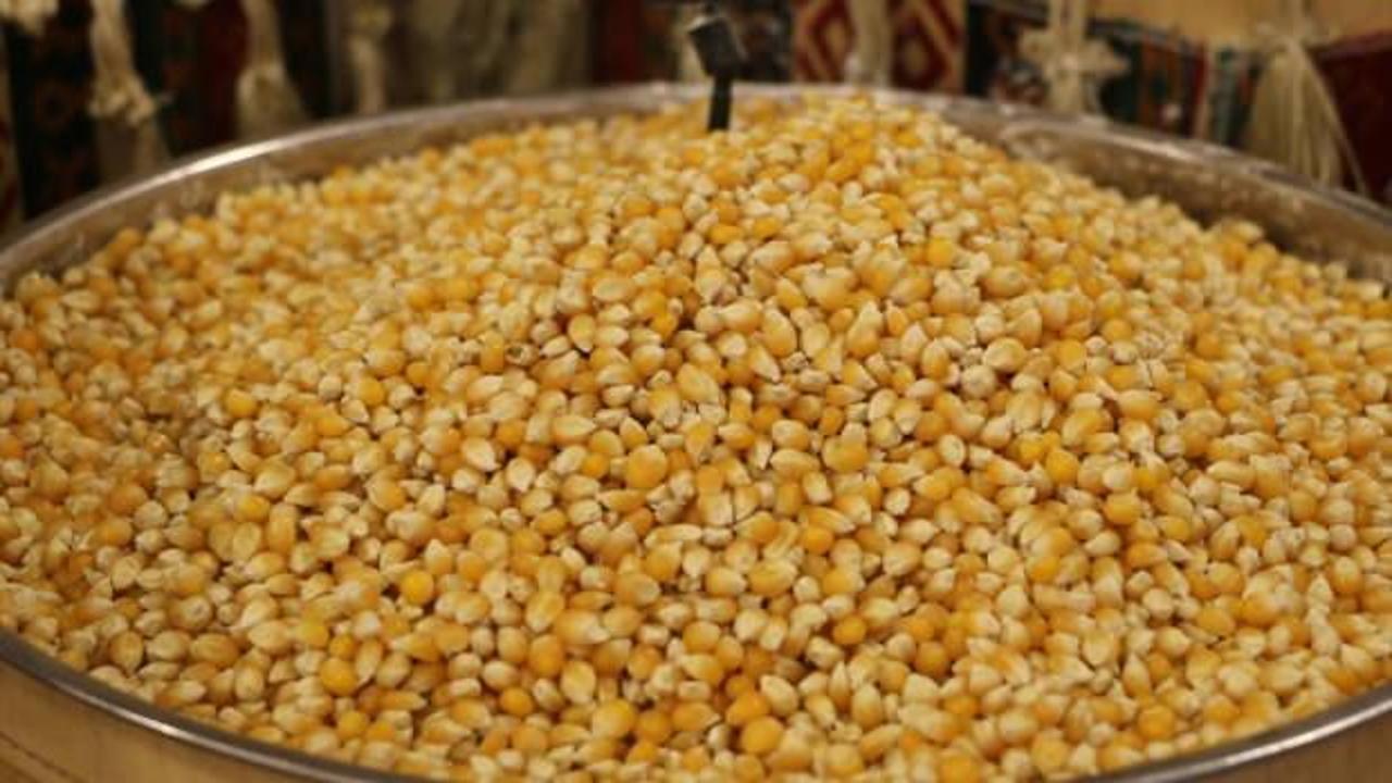 G&uuml;neydoğu Anadolu'dan 871 milyon dolarlık hububat ihracatı