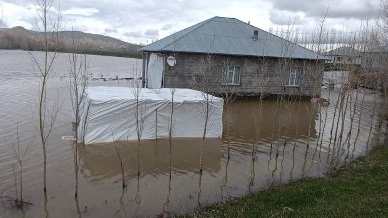 Ağrı'da sağanak yağış: Dereler taştı, evler ve tarım arazilerini su bastı!