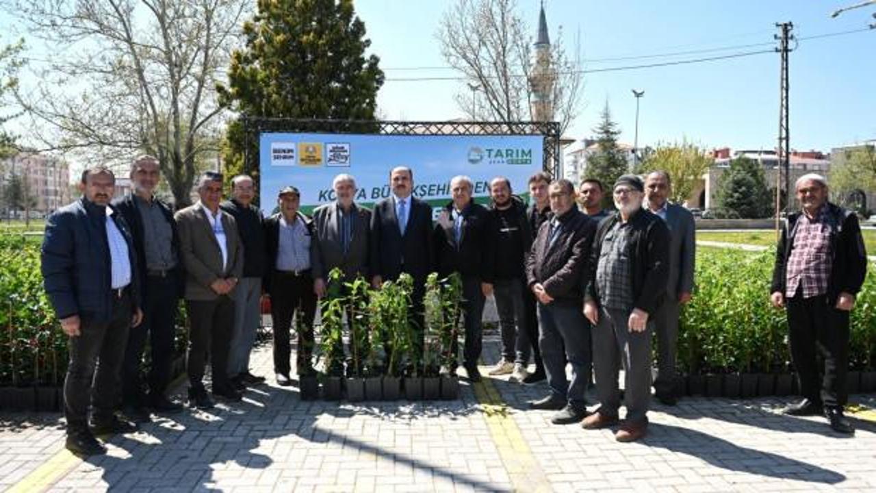 Başkan Altay: Bu yıl &ccedil;ift&ccedil;imize 31 bin 420 meyve fidanı desteğinde bulunduk