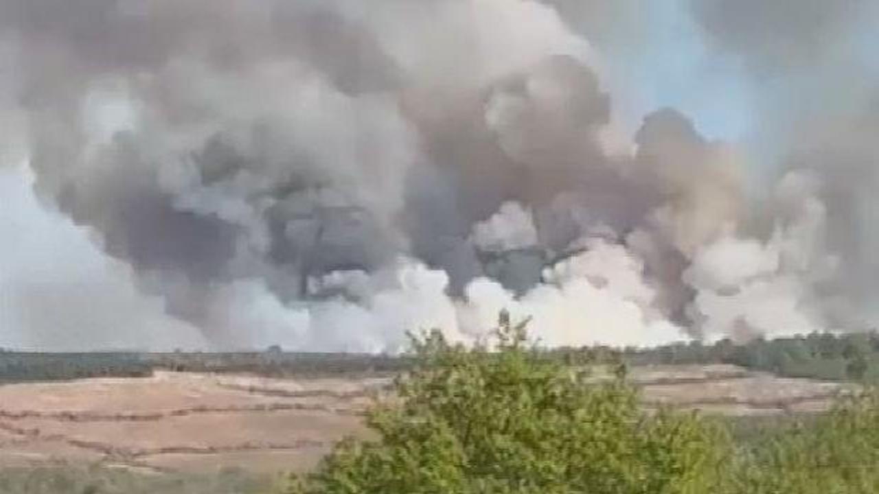 Beykoz'da ormanlık alanda yangın!