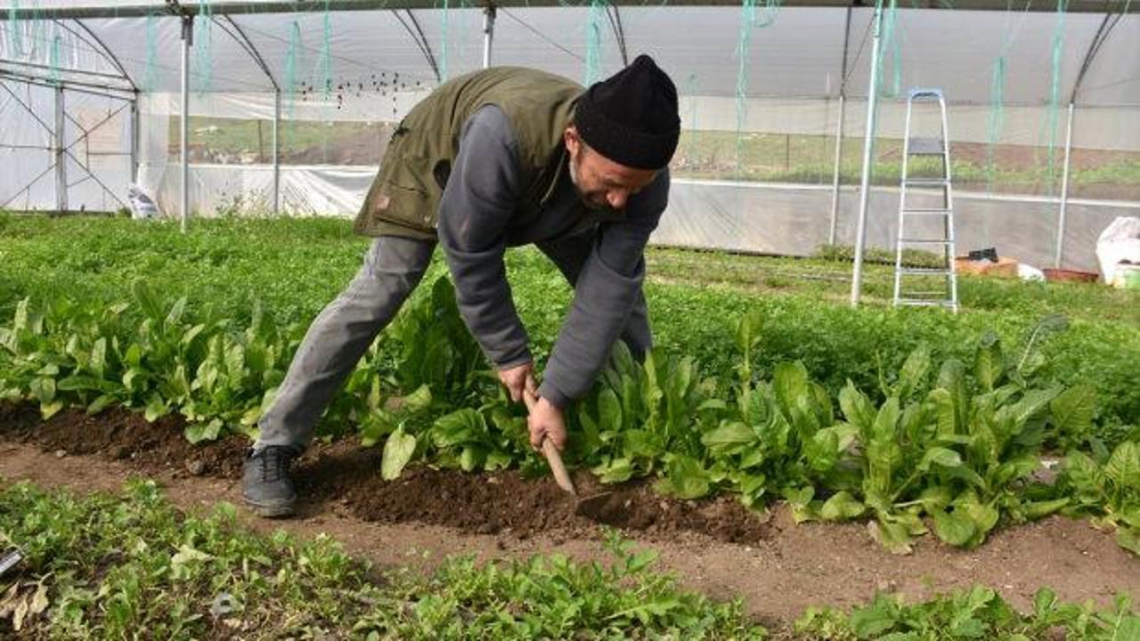 Devlet desteğiyle kurmuştu: Şimdi 7 kişilik ailesine bakıyor!