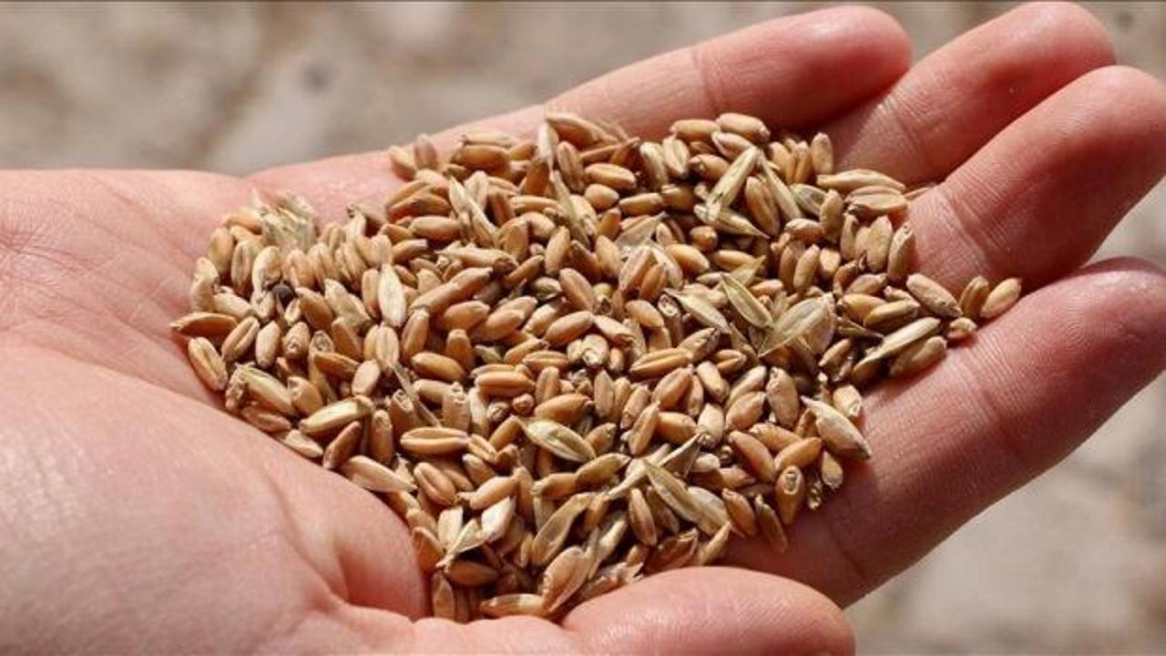 İklim değişikliğine karşı tarımda yerli ve ata tohumlar &ouml;ne &ccedil;ıkıyor