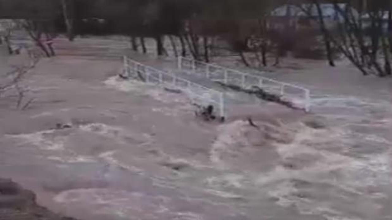 Kızılırmak taştı, k&ouml;yde ev ve ahırları su bastı