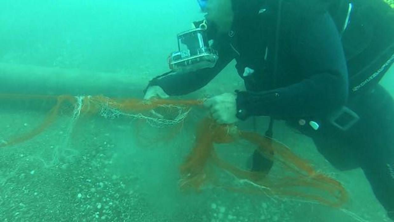 Temizlenen 'hayalet ağlar' ile 1,5 milyon deniz canlısı kurtarıldı 