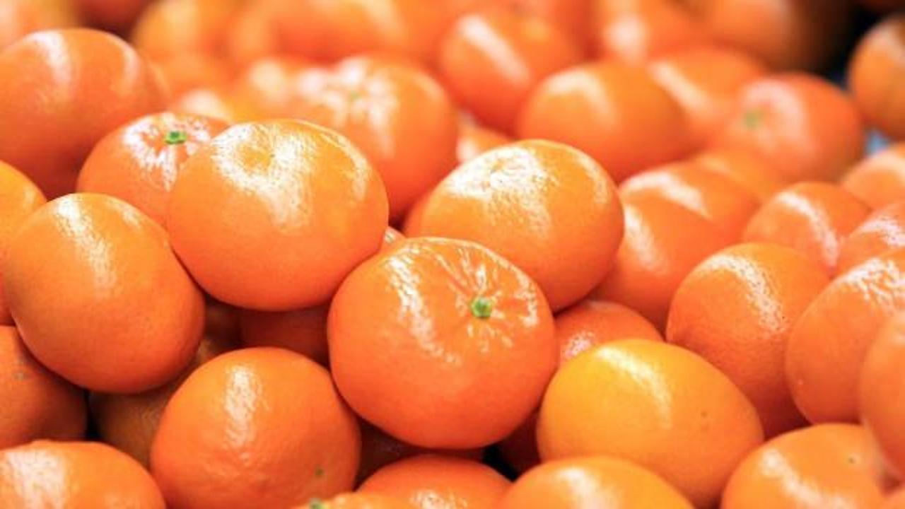 Turun&ccedil;gil ihracatı 697,7 milyon dolara ulaştı