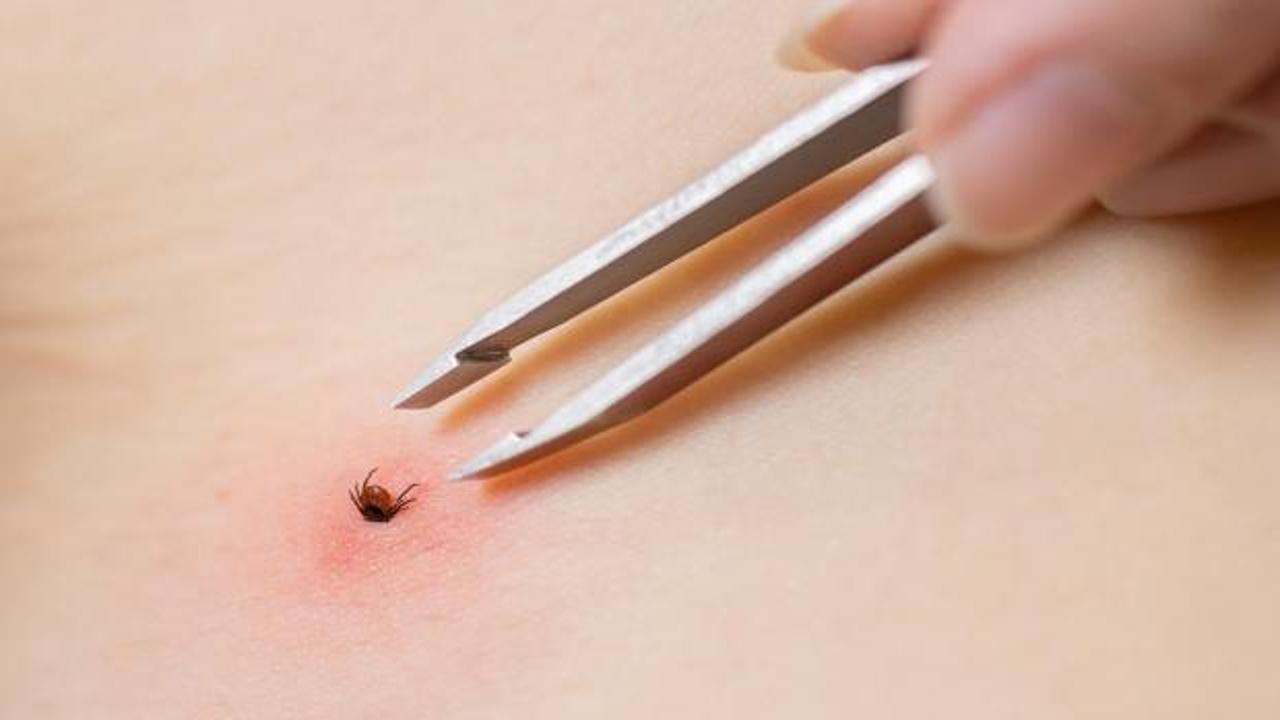 1 kişi hayatını kaybetmişti! Kabus devam ediyor: 2 kişi daha hastanede tedavi altında!