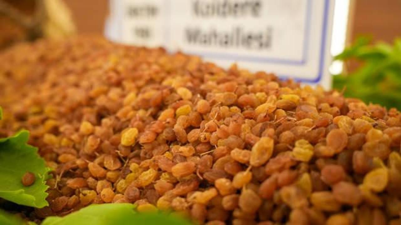 Manisa'dan d&uuml;nyaya 321 milyon dolarlık ihracat: Zirveyi yine bırakmadı
