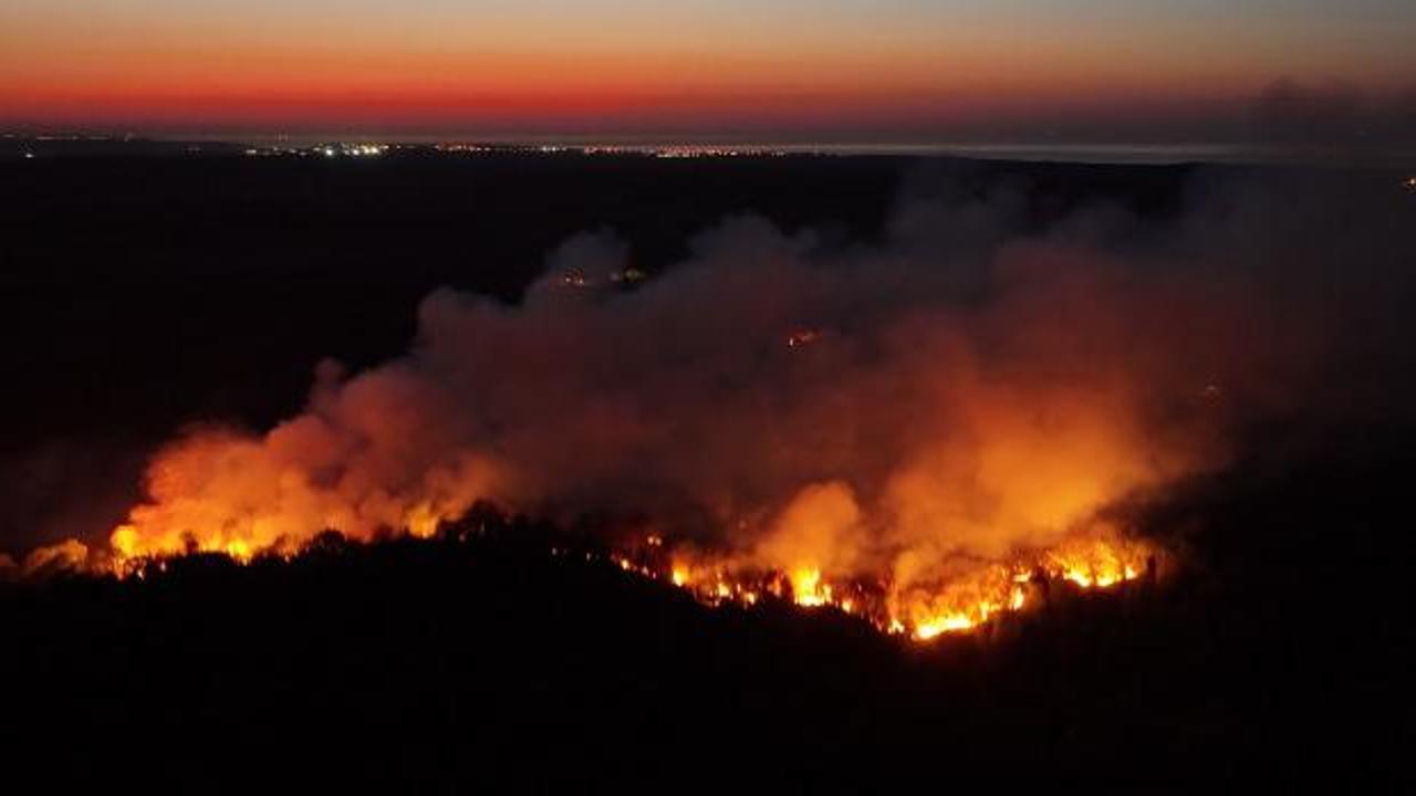 Beykoz'da ormanlık alanda &ccedil;ıkan yangın kontrol altına alındı