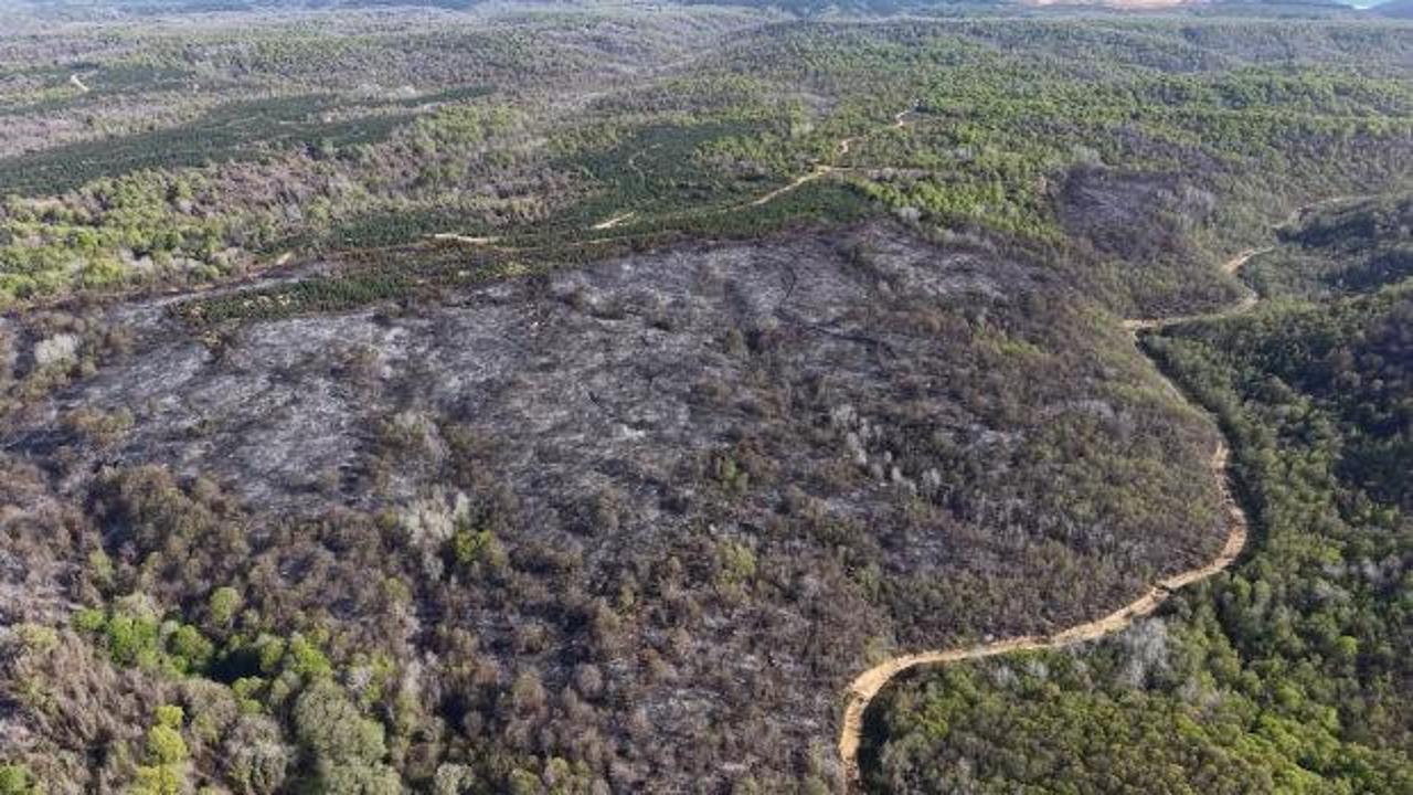  Beykoz'daki yangının bilan&ccedil;osu g&uuml;n ağarınca ortaya &ccedil;ıktı