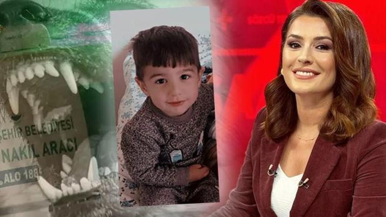 Köpekler 5 yaşındaki Hamza'yı öldürdü, eski spiker köpekçiliğe soyundu!