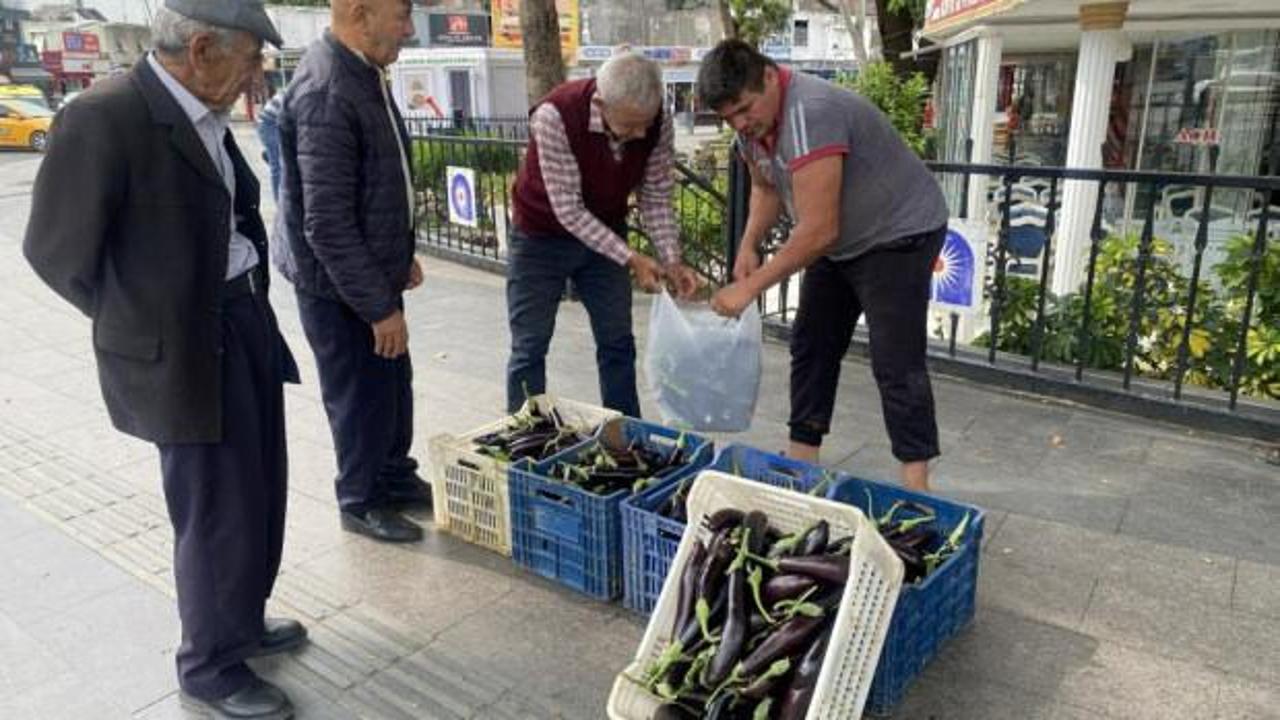 Patlıcanlar maliyetini kurtarmayınca halka &uuml;cretsiz dağıttı