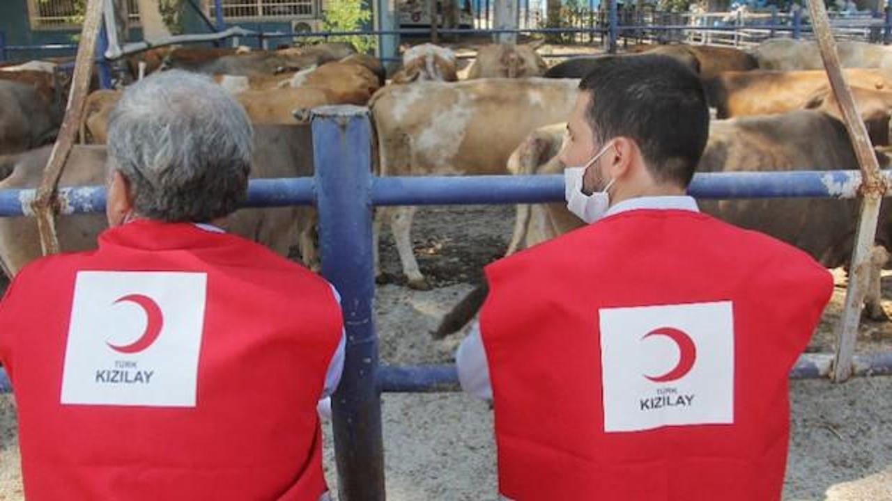 Kızılay'ın 2026 vekaletle kurban kesim fiyatı belli oldu!