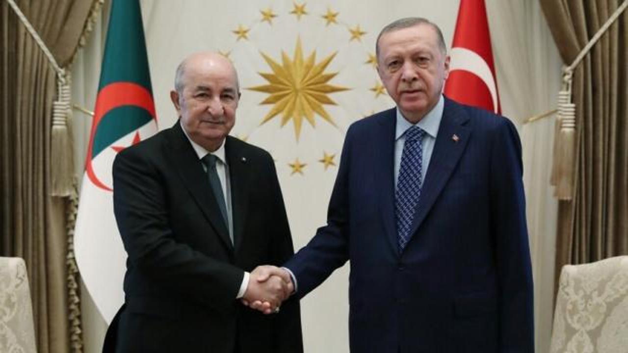 Erdoğan, Cezayir Cumhurbaşkanı Tebbun ile g&ouml;r&uuml;şecek