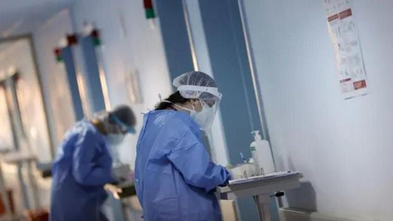Hantavir&uuml;s nedir? Belirtileri, bulaşma yolları, tedavisi ve &ouml;nleme y&ouml;ntemleri