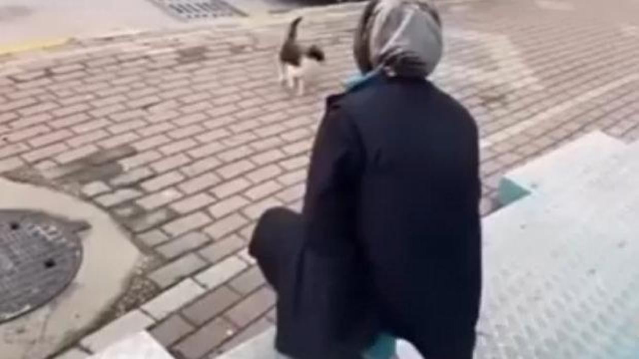 Kedinin y&uuml;z&uuml;ne sprey sıkan market &ccedil;alışanı g&ouml;zaltına alındı