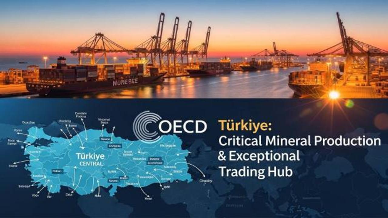 OECD'den T&uuml;rkiye'ye kritik mineral &ouml;vg&uuml;s&uuml;: Olağan&uuml;st&uuml; bir ticaret merkezi