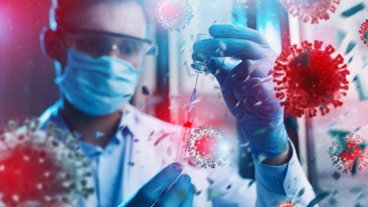 Kovid sonrası yeni vir&uuml;s şoku! Yarasalarda tespit edildi
