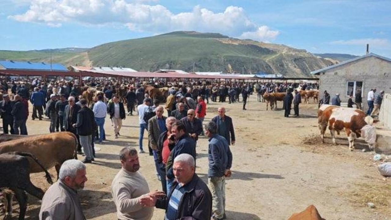 Kurban pazarlarında hareketlilik başladı