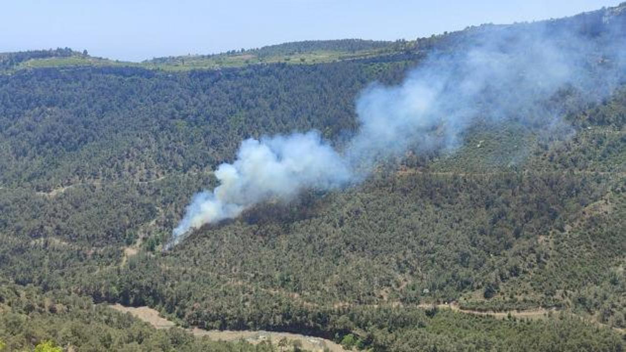 Mersin'de başlayan orman yangını kontrol altına alındı 