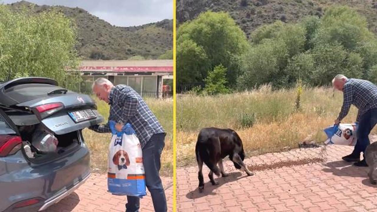 Bayram trafiğinde tepki &ccedil;eken "Yol kenarına mama bırakın" &ccedil;ağrısı! 