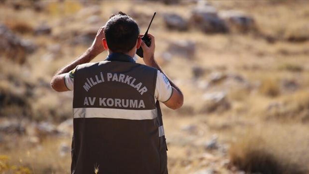 Doğa Koruma ve Milli Parklar Genel M&uuml;d&uuml;rl&uuml;ğ&uuml; 92 s&ouml;zleşmeli personel alacak