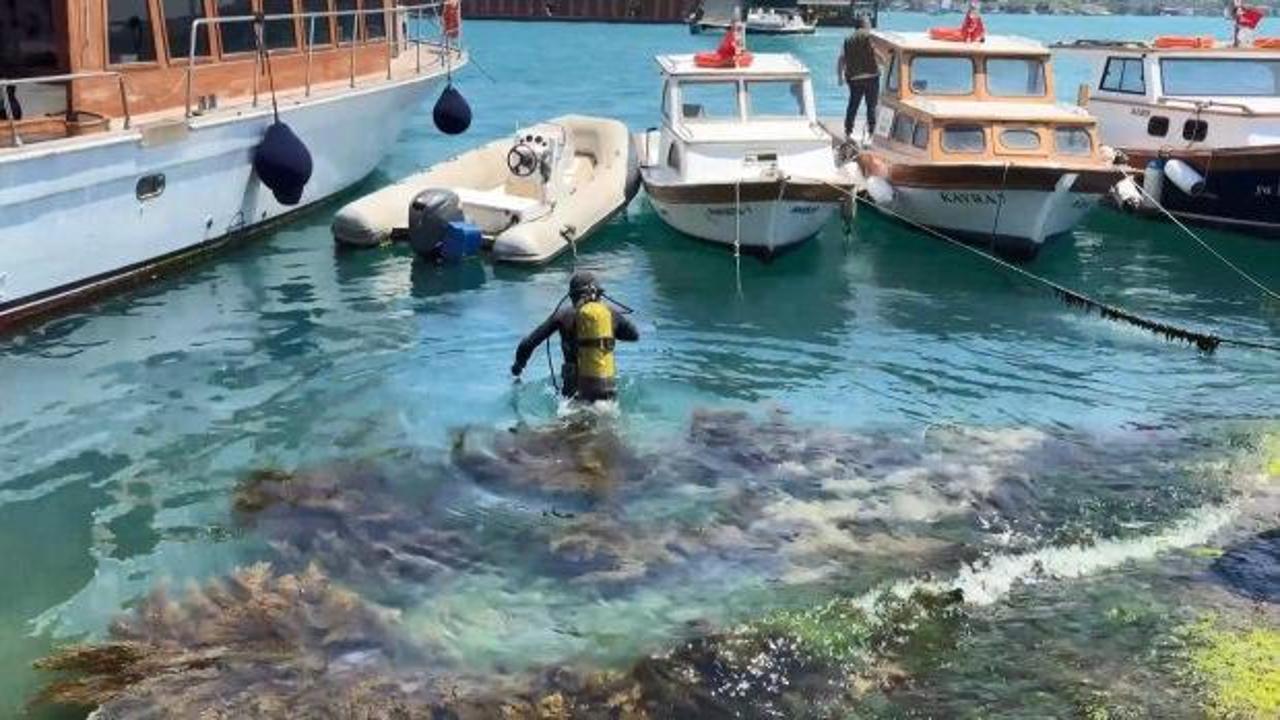 İstanbul Boğazı&rsquo;nda kahreden olay! Midye i&ccedil;in daldı, cesedi 12 saat sonra bulundu