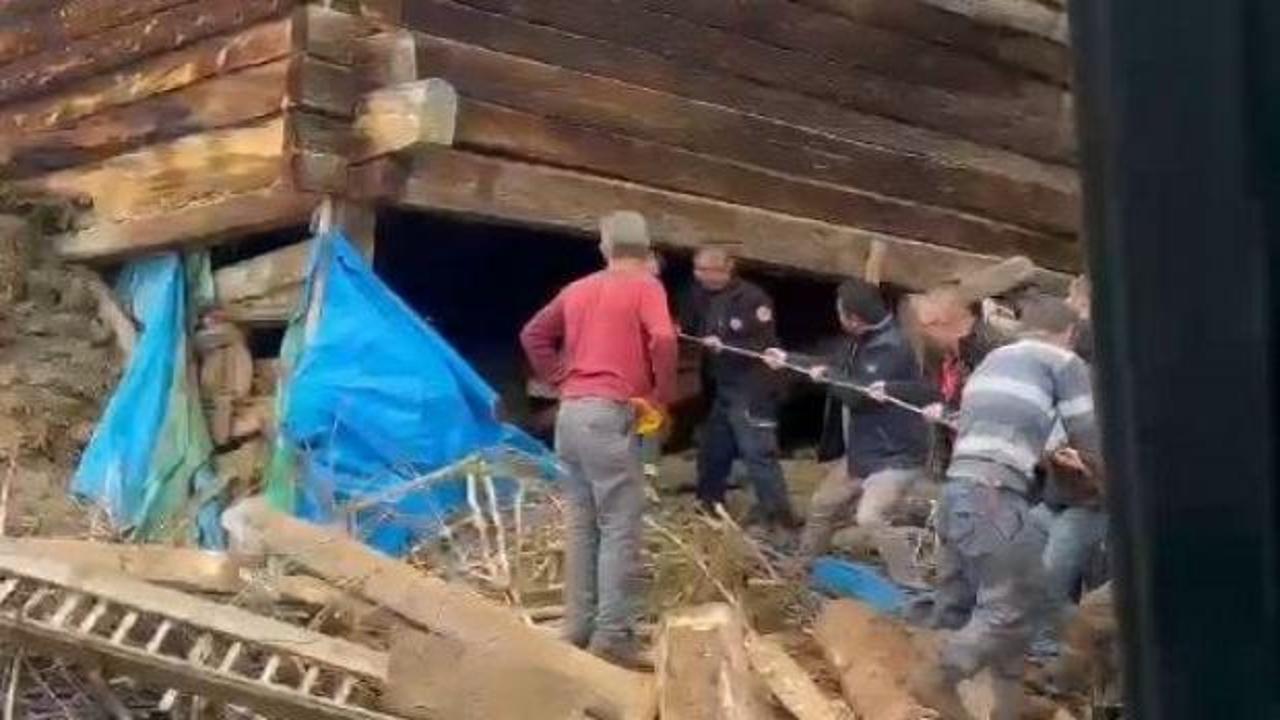 Kastamonu'da ağıl &ccedil;&ouml;kt&uuml;: Bir &ouml;l&uuml; 