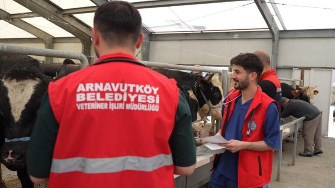 Arnavutk&ouml;y Belediyesi, Kurban Bayramı'na hazır 