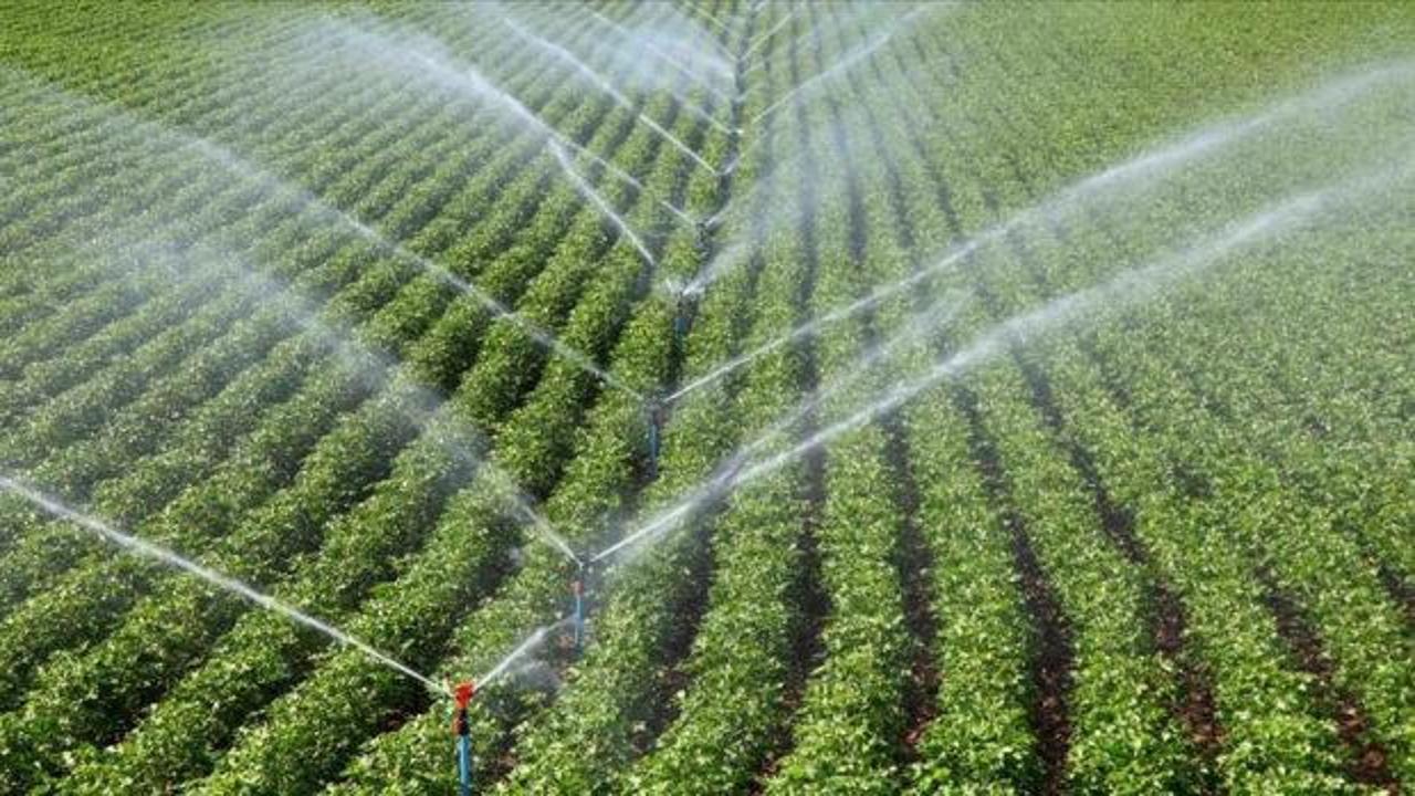 Tarımda ge&ccedil;en yıl 72 bin 149 hektar alan sulamaya a&ccedil;ıldı, 12 milyar lira katkı sağlandı