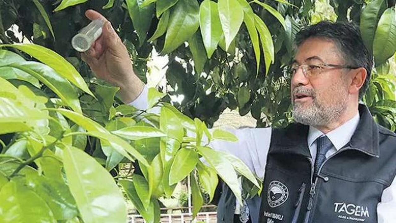 Yerli tohumda 17 t&uuml;rde 39 yeni &ccedil;eşit daha tescil edildi