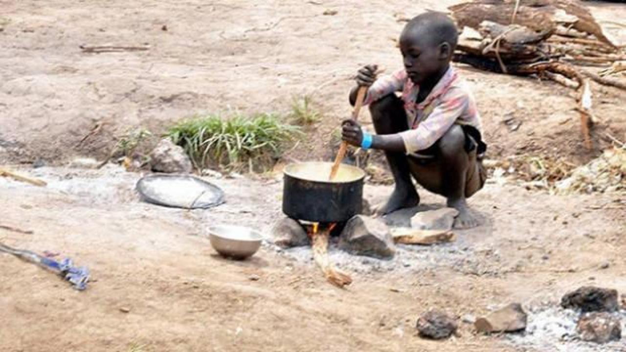 Afrika'da bir çocuğun gıdaya ulaşmaya çalışırken çekilmiş fotoğrafı.