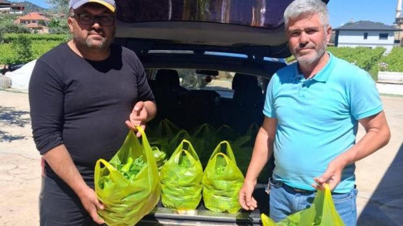 Emcelli biberi gurbet&ccedil;ilerin g&ouml;zdesi oldu