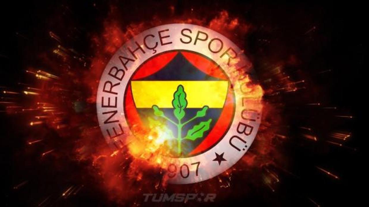Fenerbahçe Medicana Erkek Voleybol Takımı logo ve oyuncuları