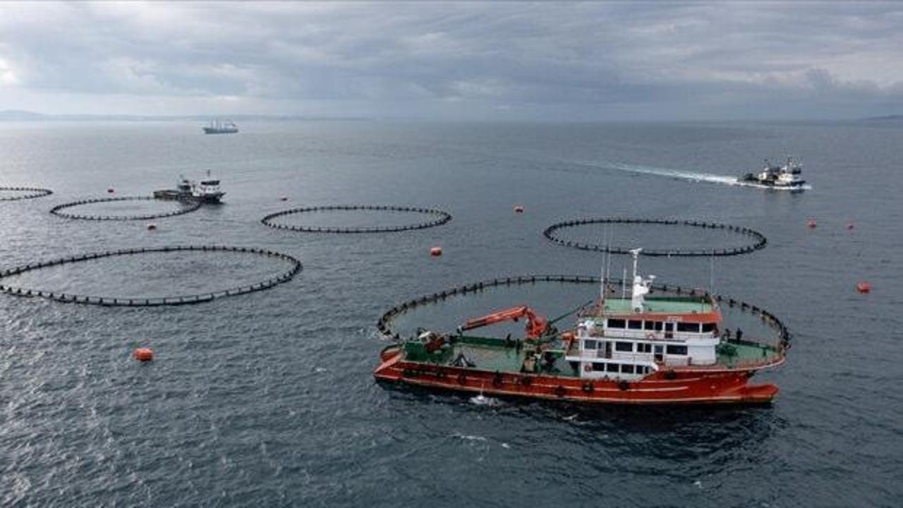 Rusya, Ermenistan'dan Çekirdekli Bitkiler, Patlıcan, Patates ve Kuru Meyve İthalatına Kısıtlama Getiriyor