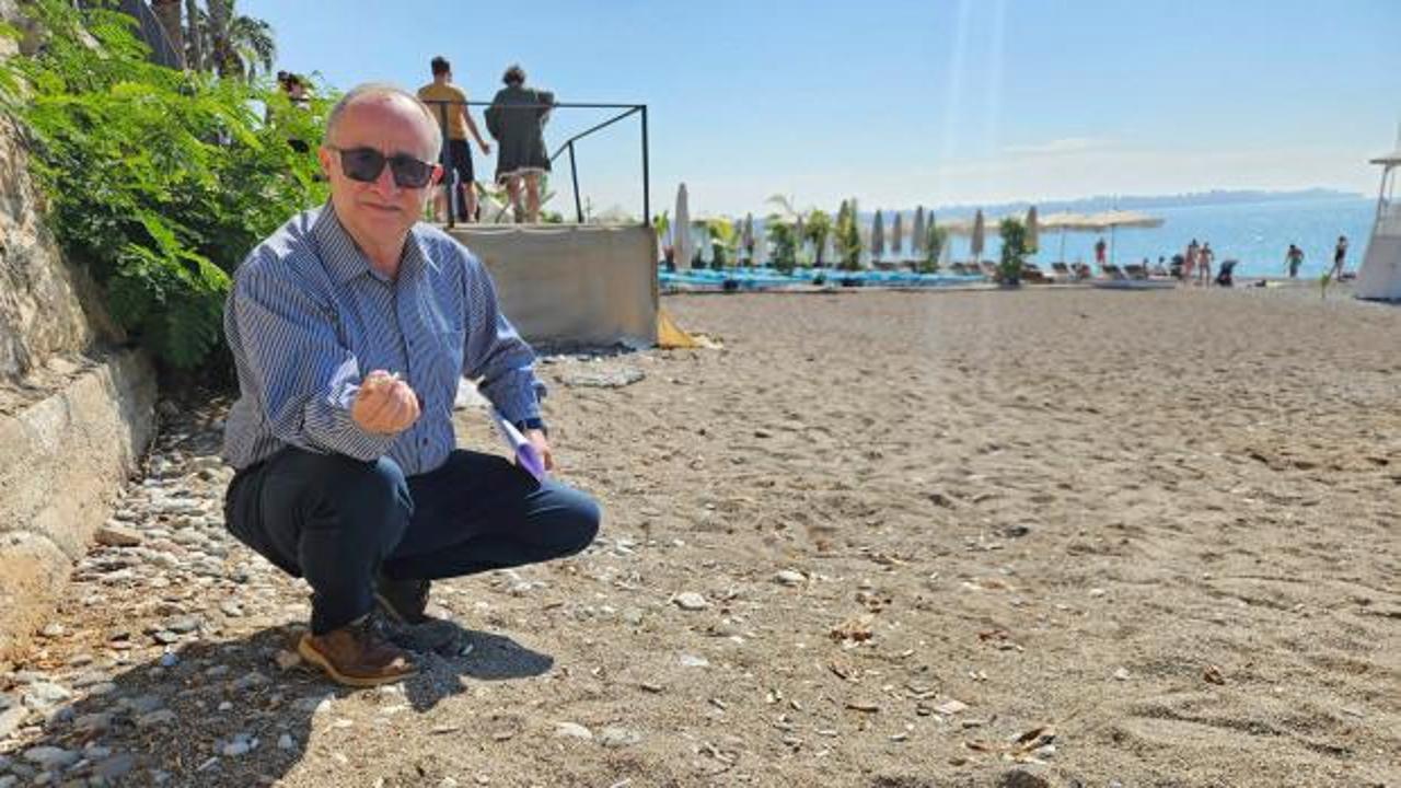 Antalya'da plajlarda sigara izmariti kirliliğine karşı önlem alınması çağrısı
