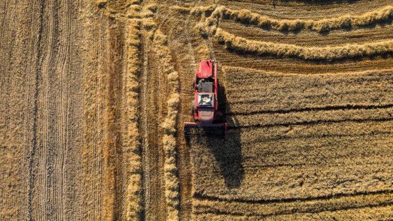 Tarımda rekor yılı: Tezgahlarda bolluk, ihracatta zirve bekleniyor
