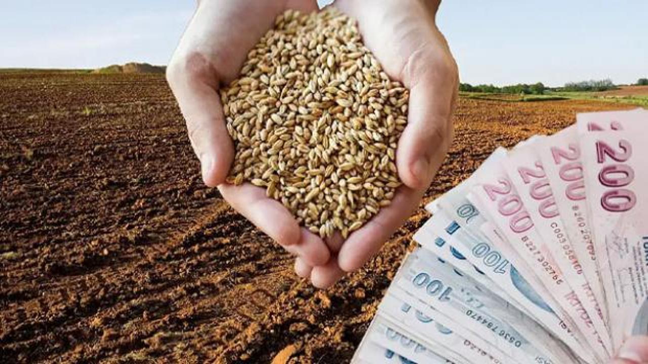 TMO 2026 yılı hububat alım ve satış fiyatlarını a&ccedil;ıkladı
