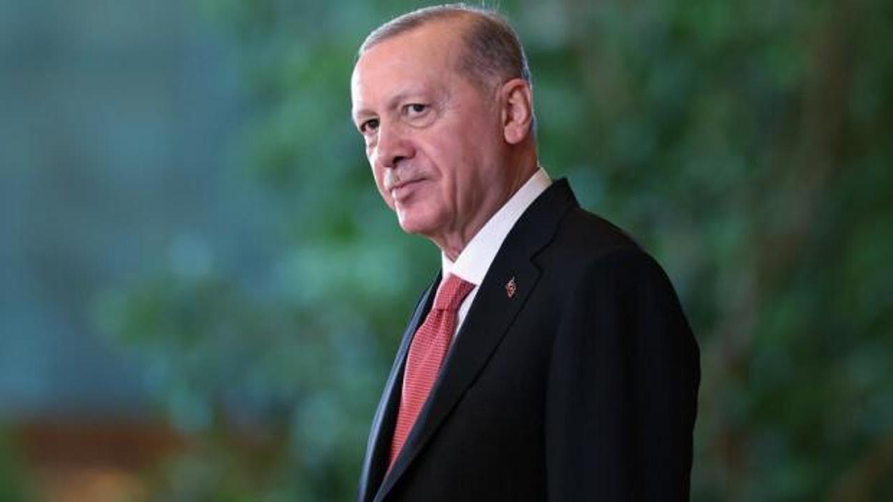 Avrupa'da Türk bayrağı ve cami silüeti