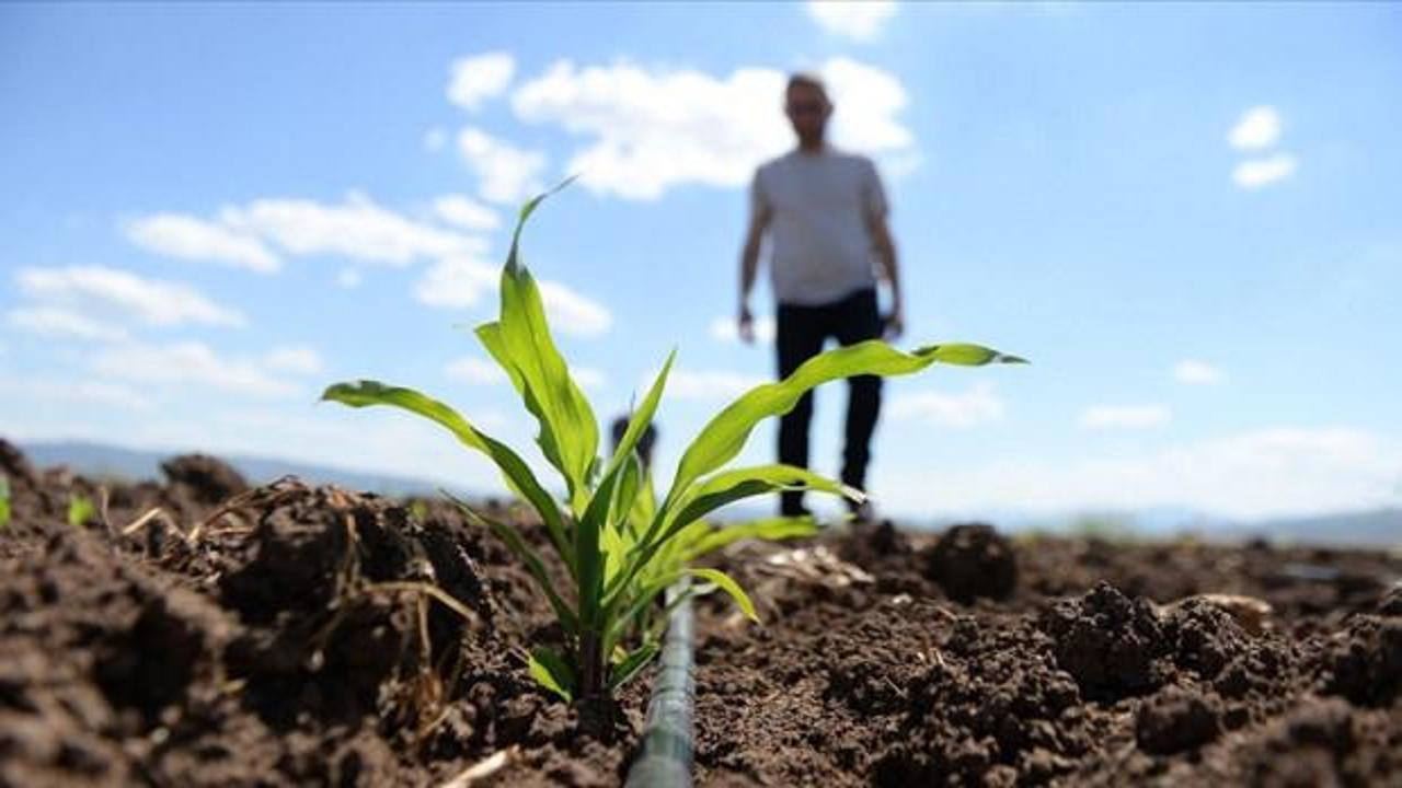 Avrupa Birliği'nden &ccedil;ift&ccedil;ilere 540 milyon avroluk g&uuml;bre desteği