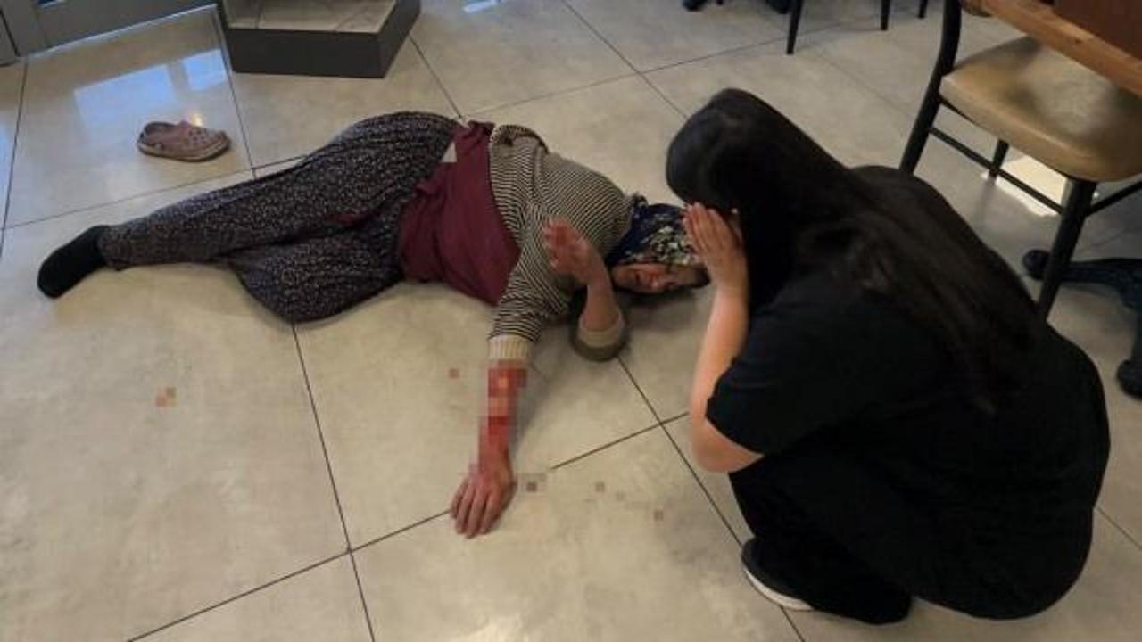 Afyonkarahisar'da bir dinlenme tesisinde köpek saldırısı sonucu yaralanan kadın hastaneye götürülüyor.