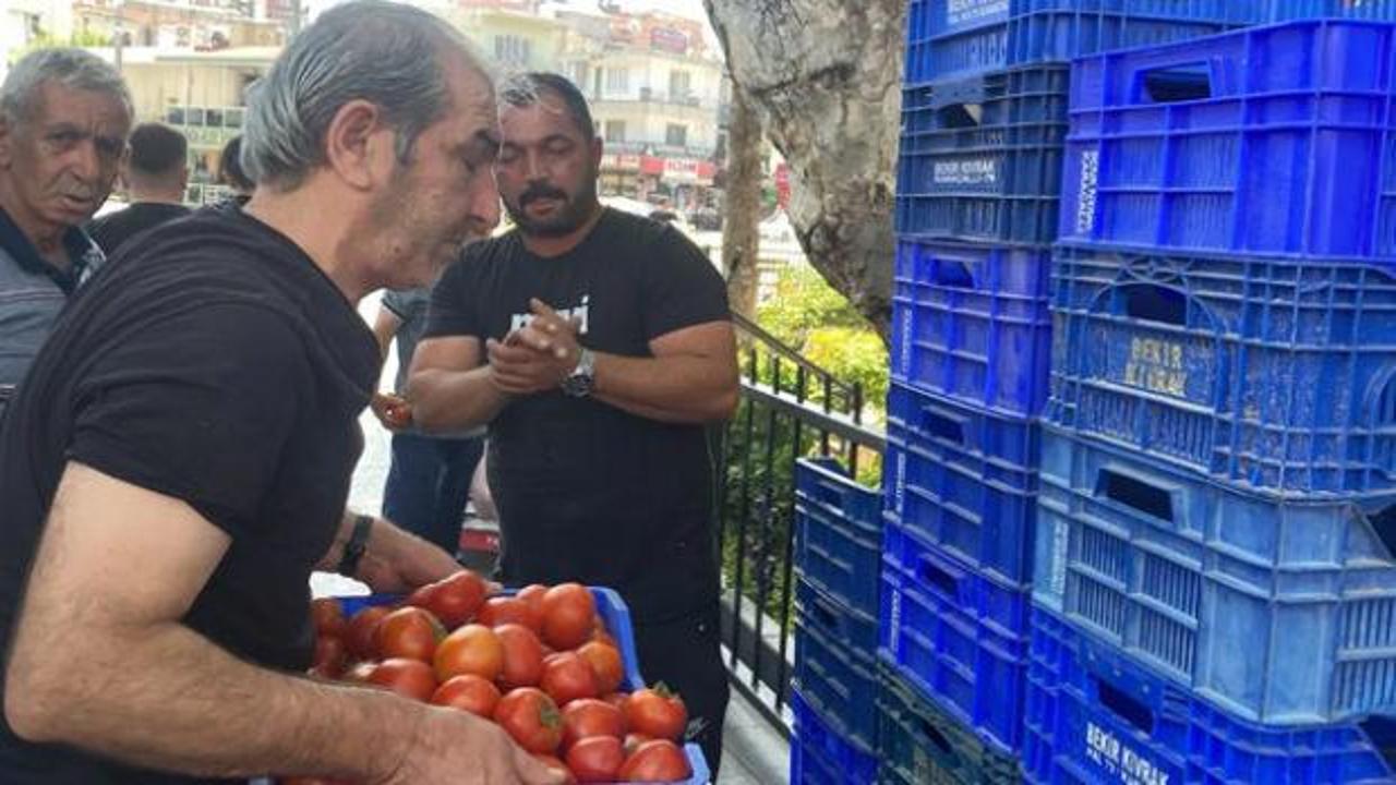Halde alıcı bulamadı, 4 ton domatesi &uuml;cretsiz dağıttı!