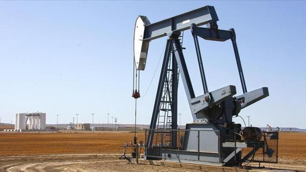 OPEC'in g&uuml;nl&uuml;k ham petrol &uuml;retimi mayısta 180 bin varil azaldı