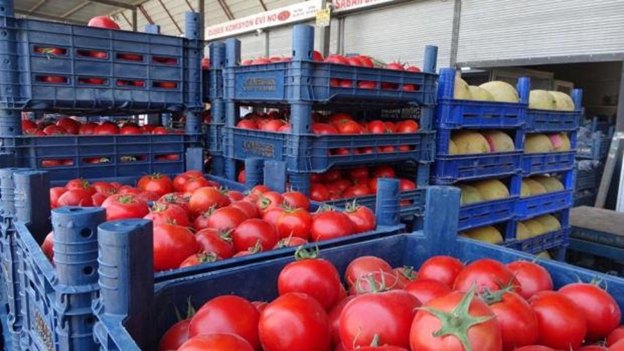 Hatay'da bir sebze halinden domates kasaları görüntüsü.
