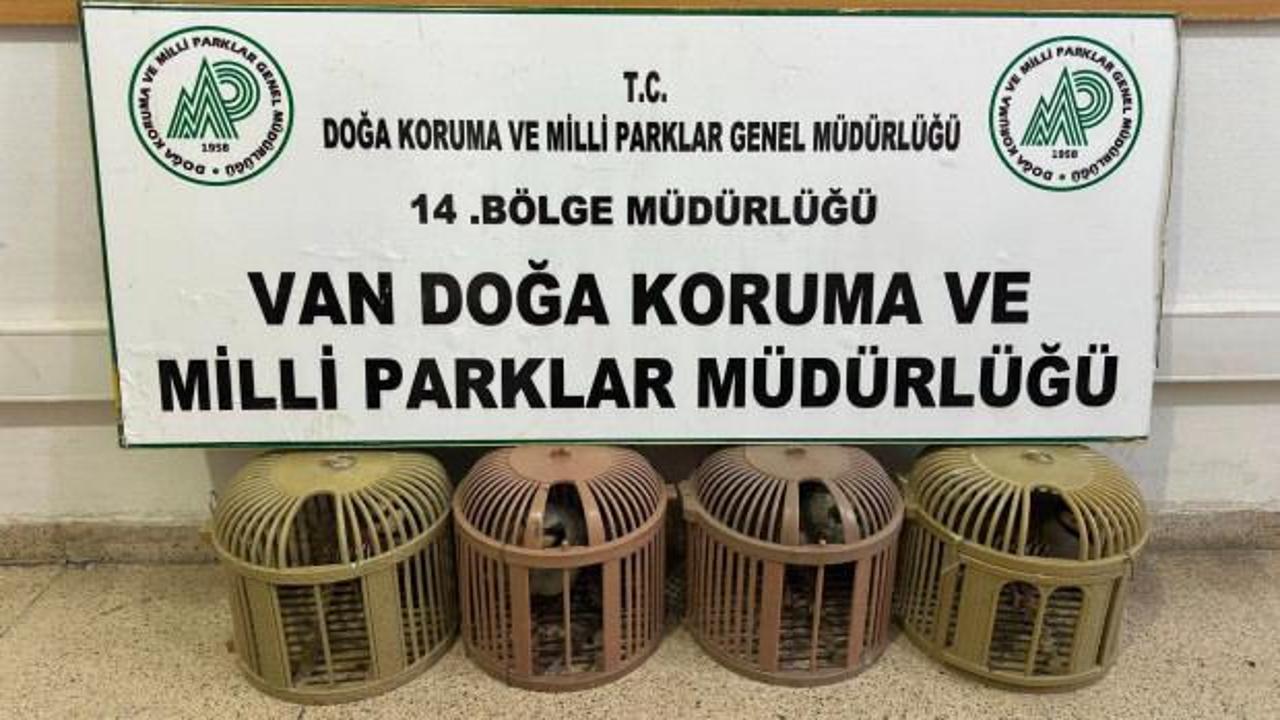 Van&rsquo;da ka&ccedil;ak avcıya jandarma ve milli parklar engeli!