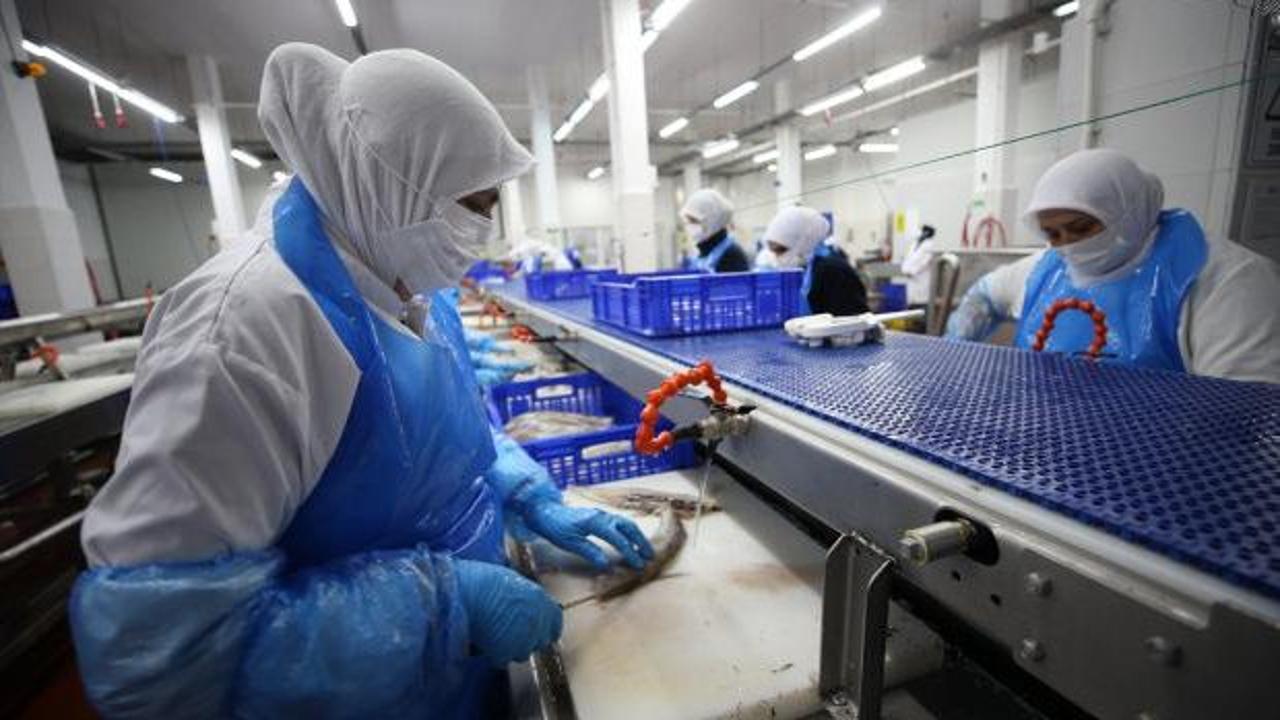 Norve&ccedil;liler bile hayretler i&ccedil;inde! Bu tesis İzlanda'dan alıp İtalya'ya satıyor