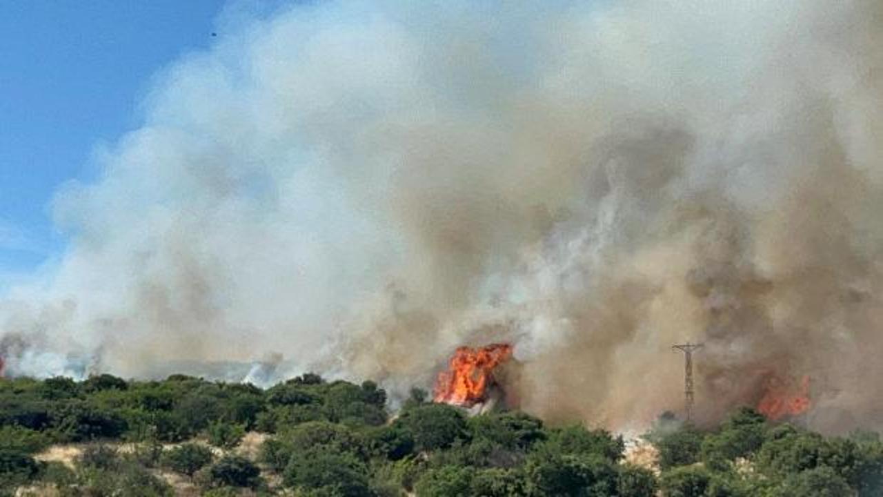 Çanakkale'de korkutan orman yangını! Alevler kısa sürede yayıldı