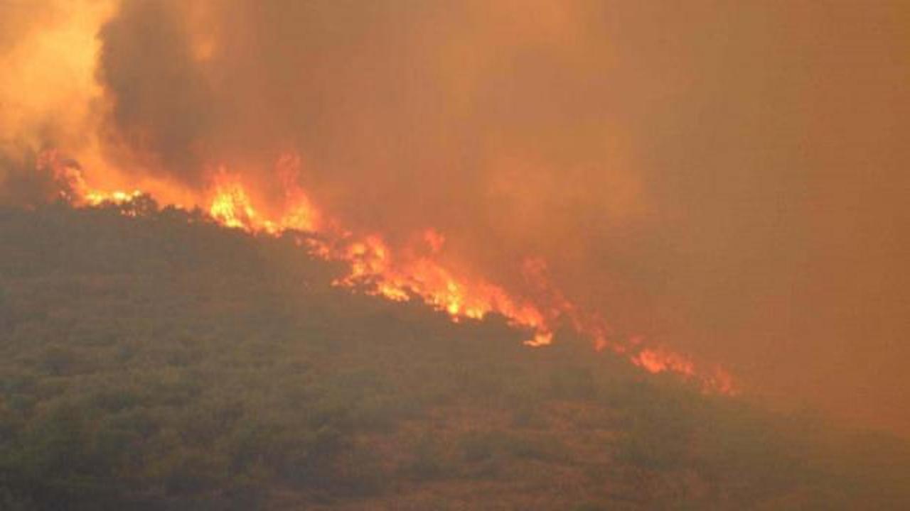 El Nino'nun g&ouml;lgesinde korkutan tablo: Milyonlarca hektar tehlike altında